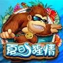 Www.yaxin55.com